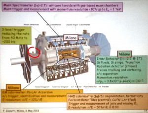 ATLAS detector circle